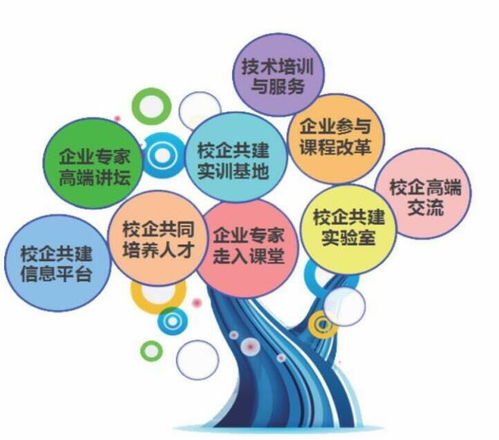 三門(mén)峽職業(yè)技術(shù)學(xué)院 計(jì)算機(jī)軟件技術(shù)開(kāi)發(fā)專(zhuān)業(yè)的優(yōu)勢(shì)與前景